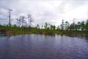 Берег реки